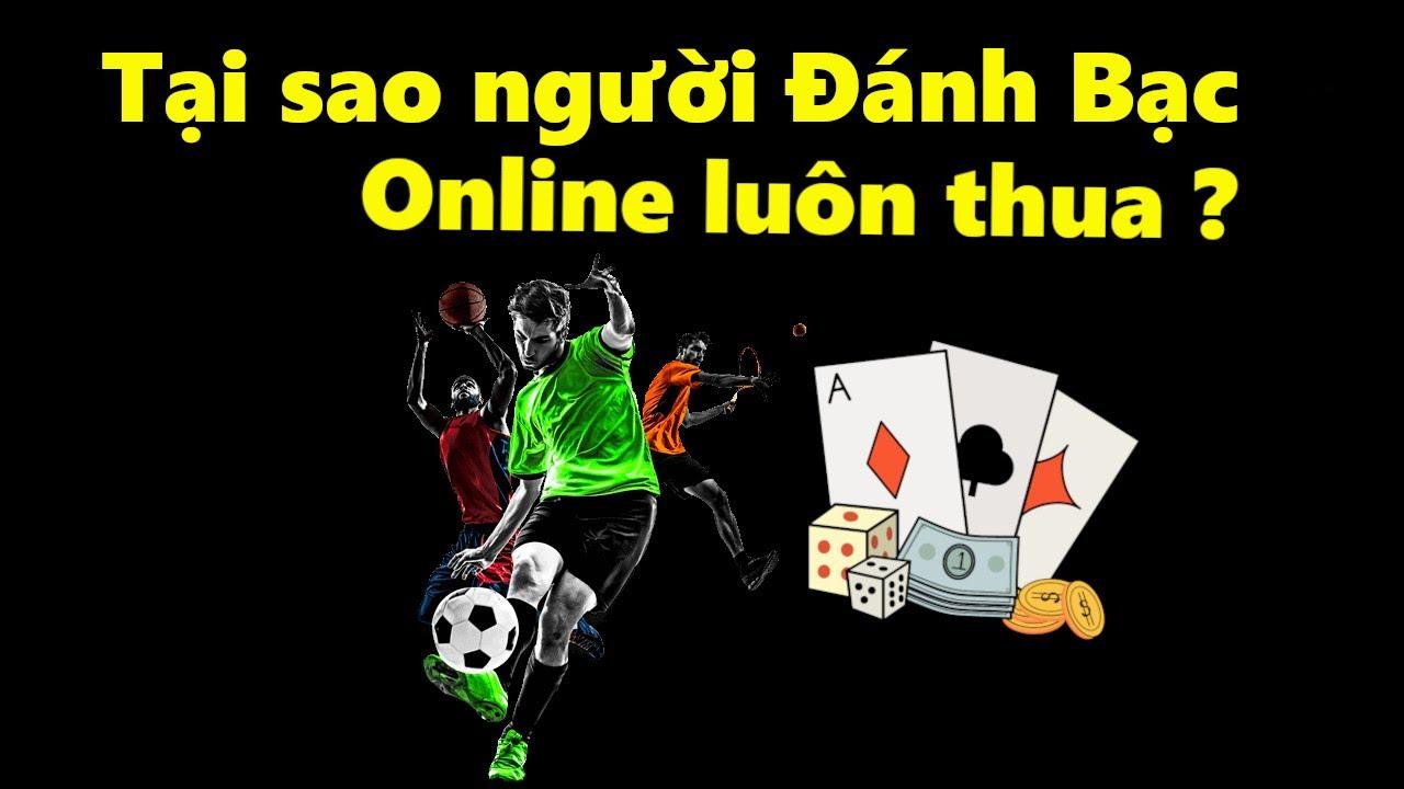 Khám phá cách chơi Mèo Bắt Cá và bí quyết chiến thắng tại Mèo Bắt Cá