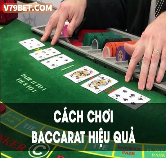 Tìm hiểu về tra chung chi nang luc hoat dong xay dung và quy trình tra chung chi nang luc hoat dong xay dung hiệu quả